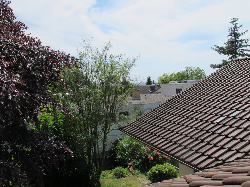 Einfamilienhaus in Weinheim