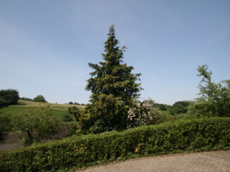 Einfamilienhaus in Heppenheim-Sonderbach